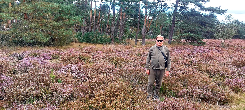 Wild spotten op de Veluwe